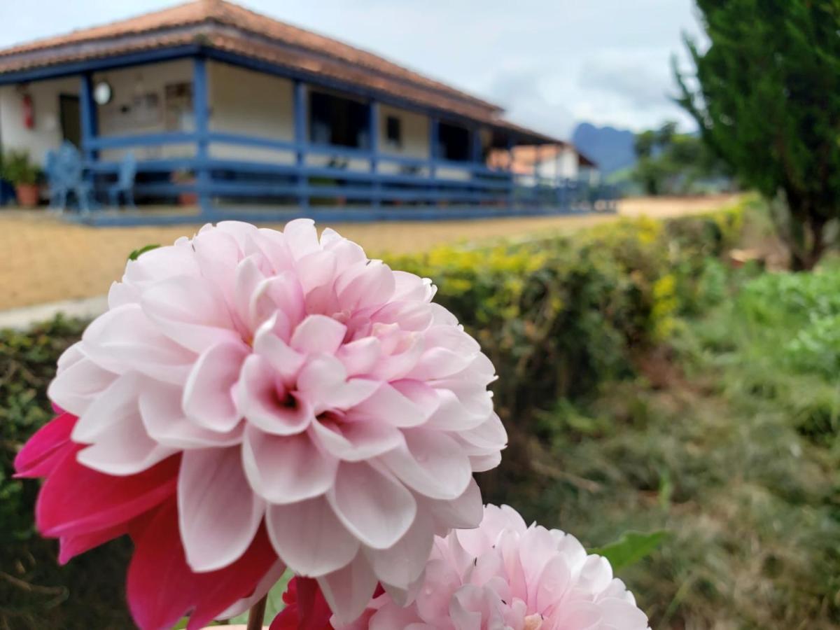 Pousada Pico Do Papagaio Aiuruoca Dış mekan fotoğraf